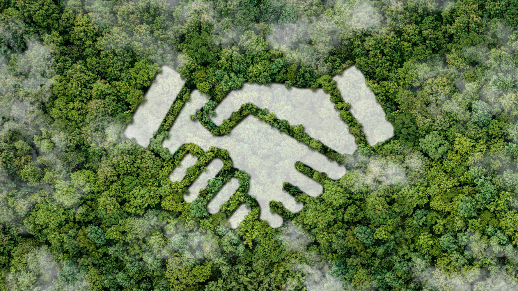 AvecPlaisirs atteint la carboneutralité : l’aboutissement de plusieurs années d’engagement