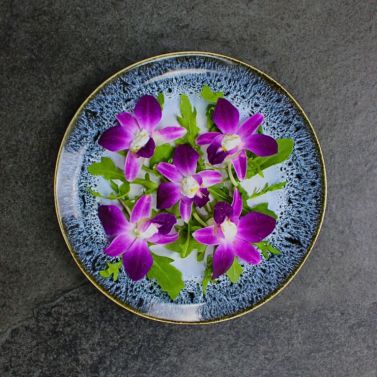 Orchidee-farcie-en-assiette.jpg