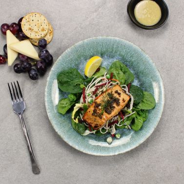 Practical Lemongrass Salmon Salad Box