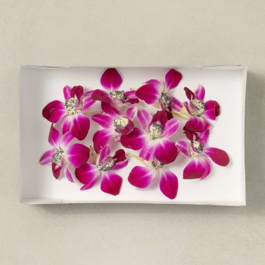 Coffret bouchées - Orchidée surprise