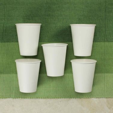 Verres compostables (5 unités)